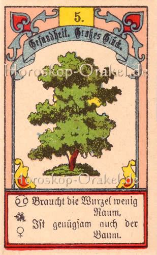 Der Baum im Waage Tageshoroskop morgen