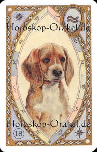 Der Hund, Waage Monatshoroskop