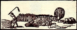 Monatshoroskop Waage